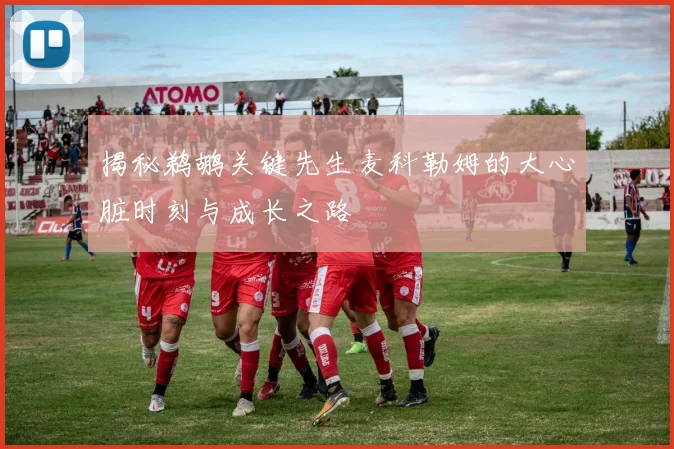揭秘鹈鹕关键先生麦科勒姆的大心脏时刻与成长之路