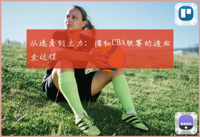 从选秀到主力:揭秘CBA联赛的造血全过程